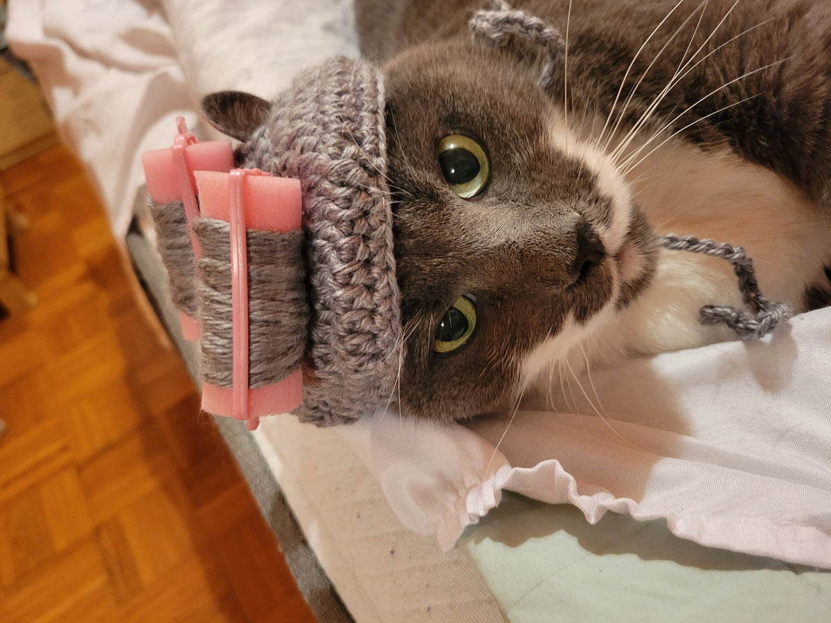 Cat or small dog crocheted grandma hat with rollers.